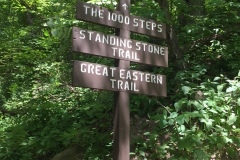 The 1000 Steps Trail