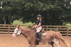 1st Horse Show