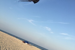 Kites fly best at Assateague