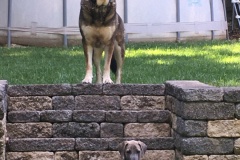 The Boys guarding the Steps