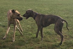 Happy with his sister on 9/16/23