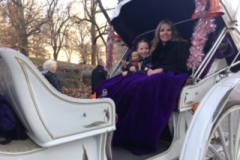 Carriage Ride through Central Park