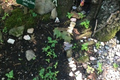 Such a Sweet Surprise Fairy Garden