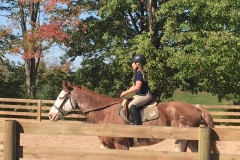 Horse Show #2