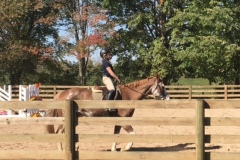 Sweet Olivia and Colt