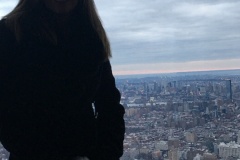 View from the Top of the Empire State Building