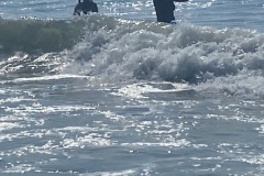 Solo Surf Attempt and Beach Fun