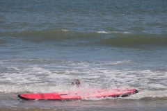 Surfing 2022