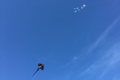 We love to fly kites at the beach