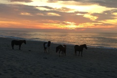 Sunrise with the ponies