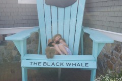 Whale Watching Adventure