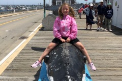 Just riding on a whale